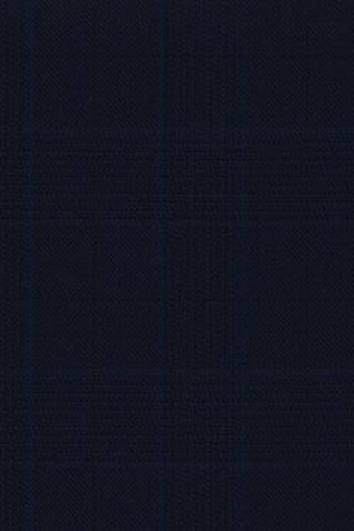 Dormeuil Navy Check 100% Wool
